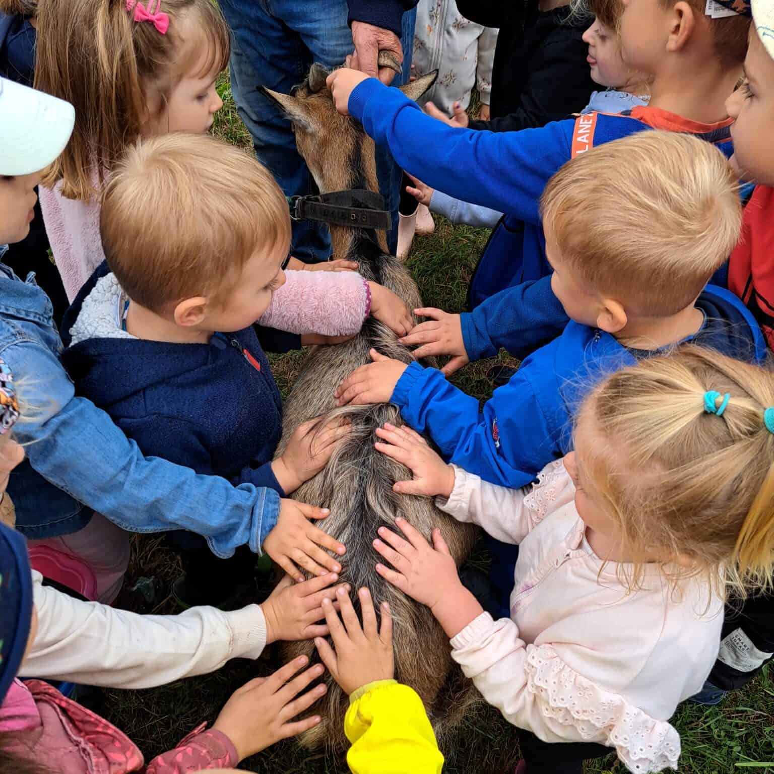 Niepubliczne Przedszkole i Żłobek Bajkowa Akademia w Mielcu