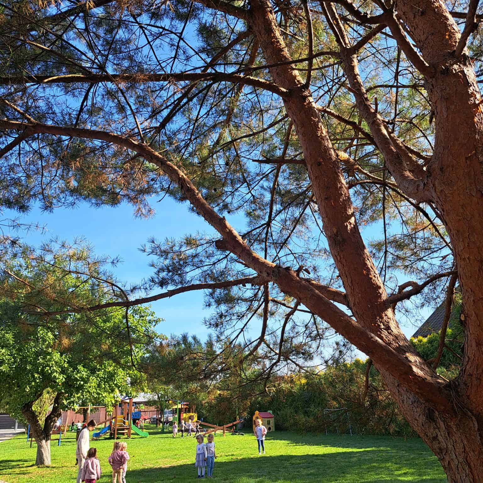 Niepubliczne Przedszkole i Żłobek Bajkowa Akademia w Mielcu