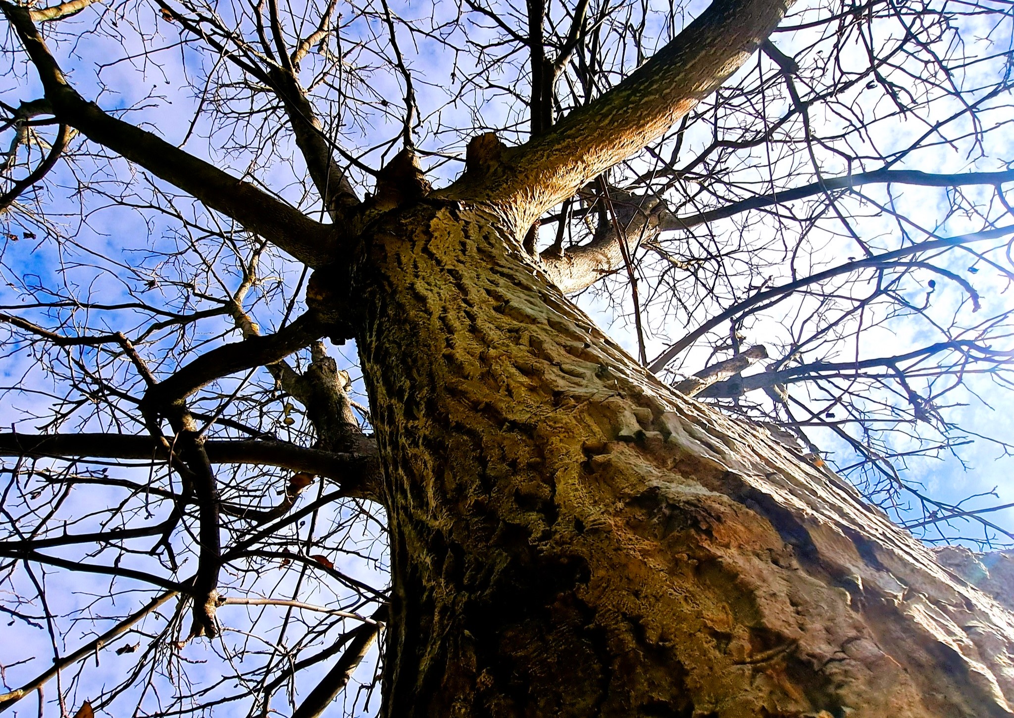 Niepubliczne Przedszkole i Żłobek Bajkowa Akademia w Mielcu