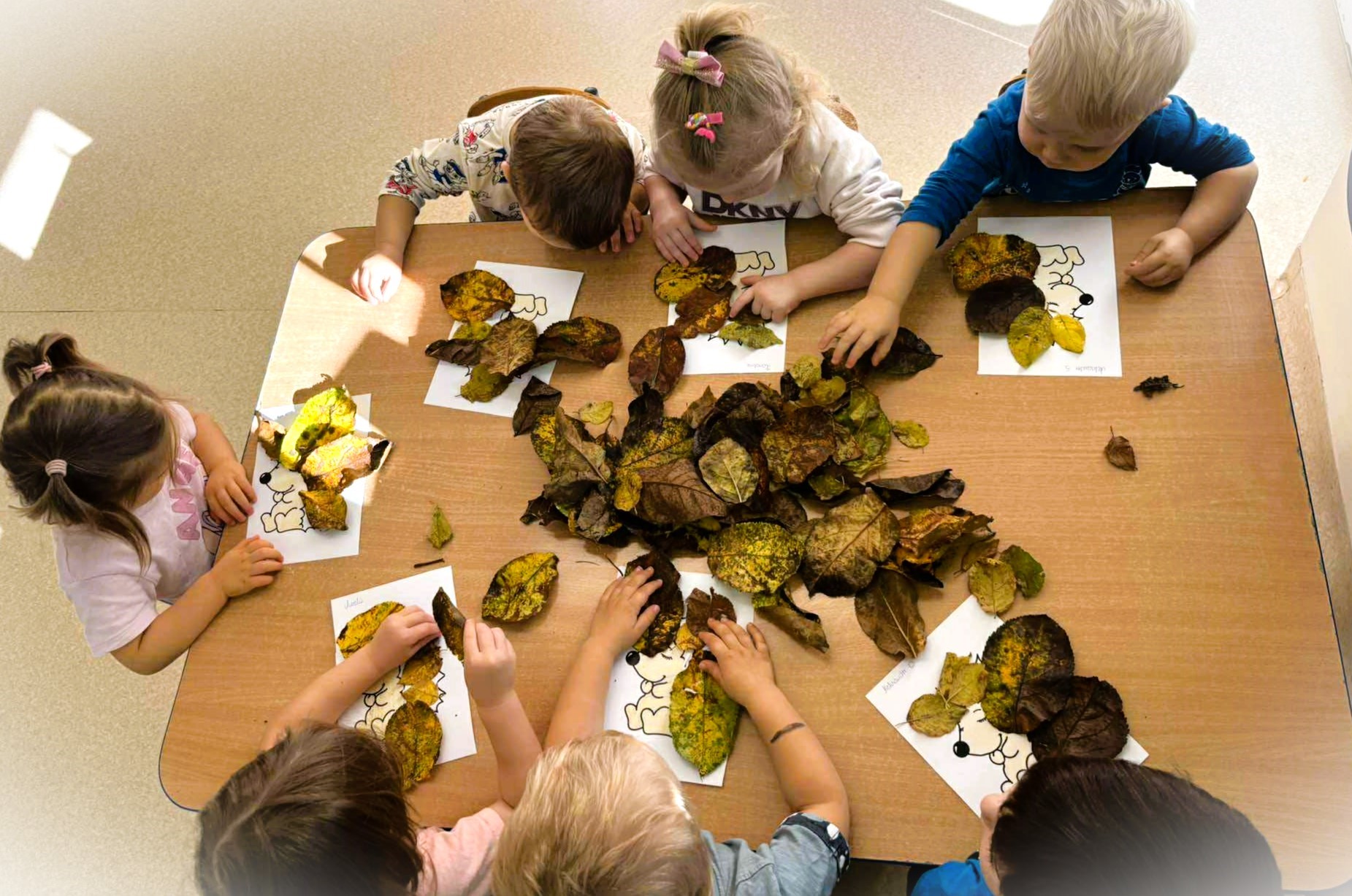 Niepubliczne Przedszkole i Żłobek Bajkowa Akademia w Mielcu